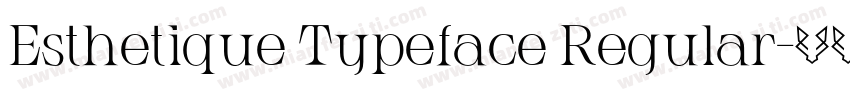 Esthetique Typeface Regular字体转换
